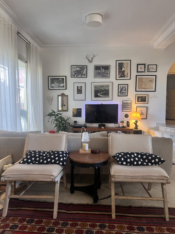 Accent chairs (set of two)